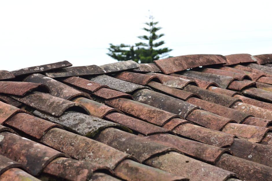 Gutter replacement on Ranch home in South Beloit, IL, completed April 2024